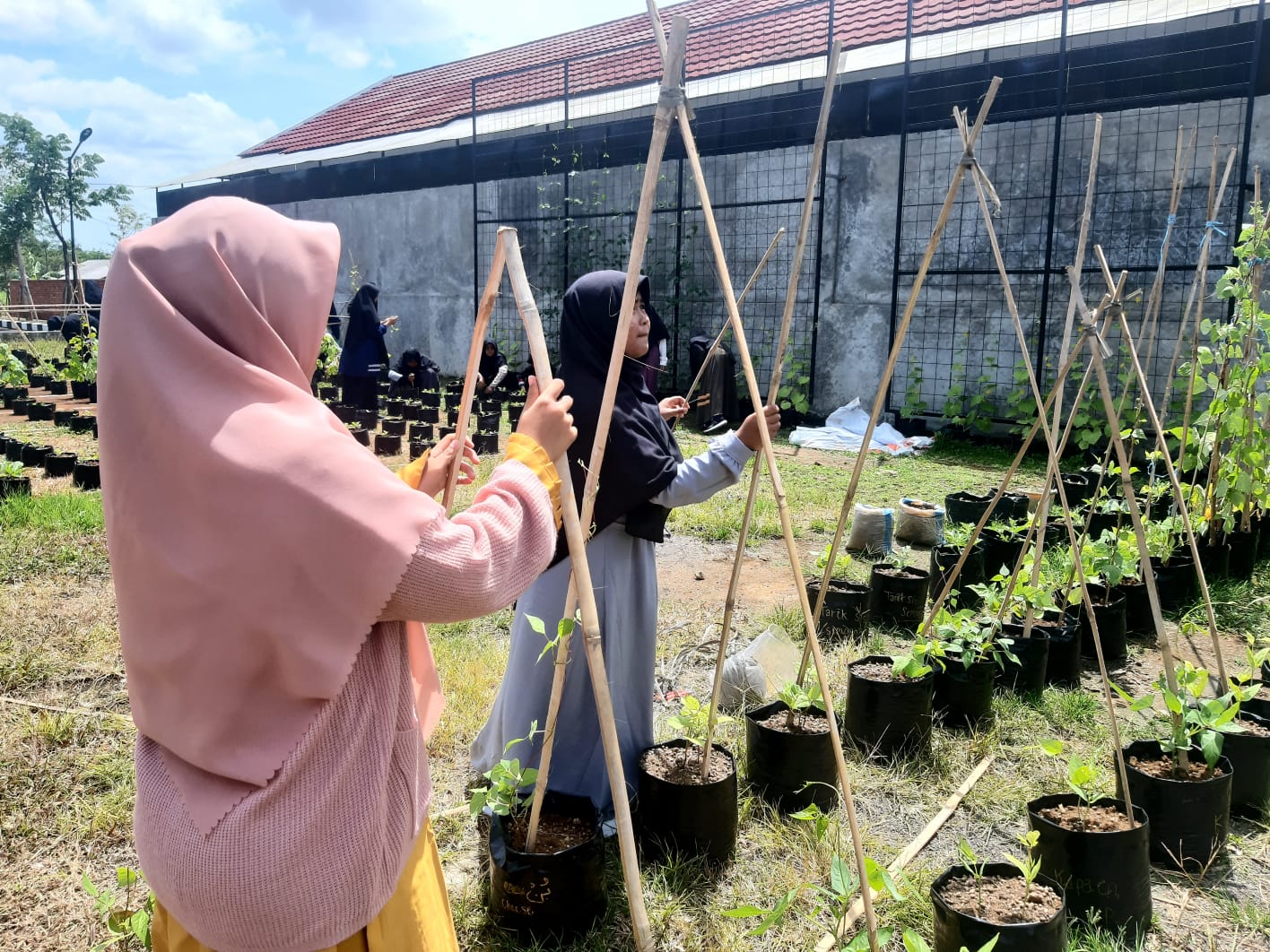 Project Based Learning